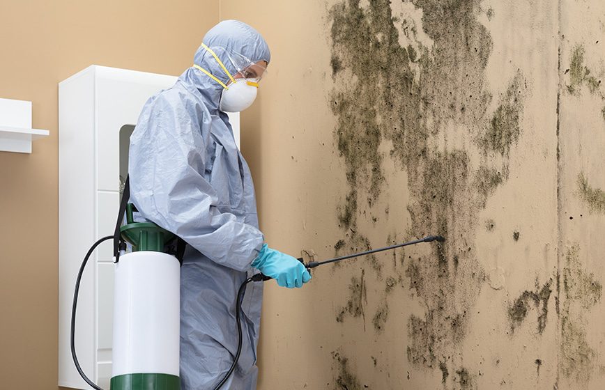 Mold inspection and moisture check in Louisiana