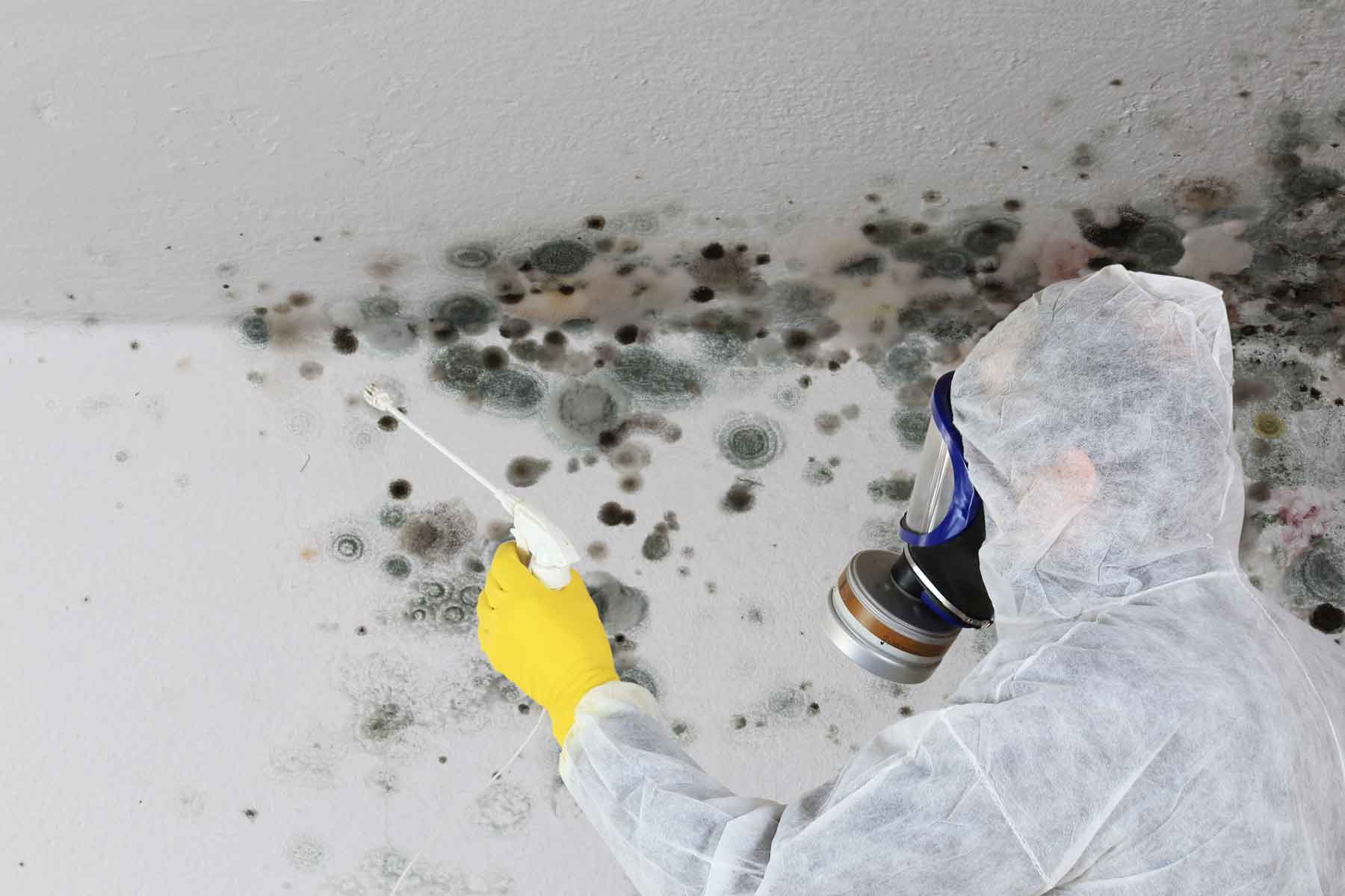 Technician removing black mold with protective gear in Louisiana