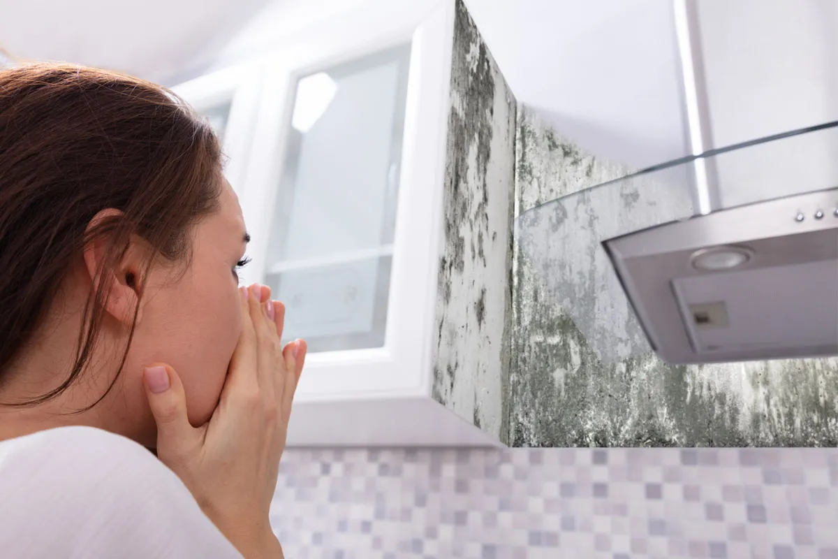 Mold odor control and prevention plan in Louisiana